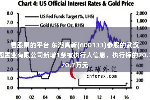 看股票的平台 东湖高新(600133)参股的武汉园博园置业有限公司新增1条被执行人信息，执行标的20.7万元