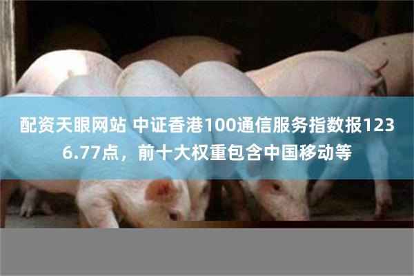 配资天眼网站 中证香港100通信服务指数报1236.77点，前十大权重包含中国移动等