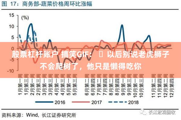 股票杠杆账户 搞笑GIF： ​以后别说老虎狮子不会爬树了，他只是懒得吃你