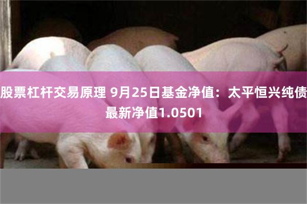 股票杠杆交易原理 9月25日基金净值：太平恒兴纯债最新净值1.0501
