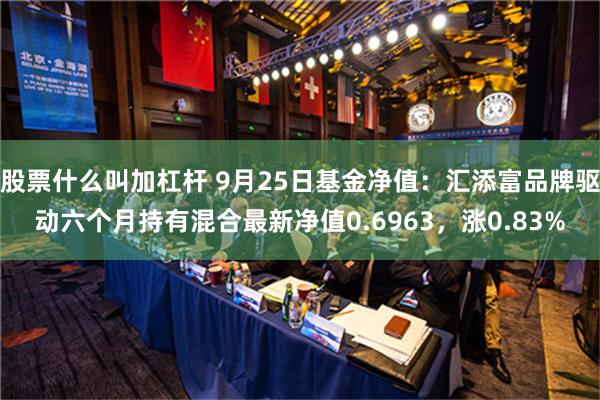 股票什么叫加杠杆 9月25日基金净值：汇添富品牌驱动六个月持有混合最新净值0.6963，涨0.83%