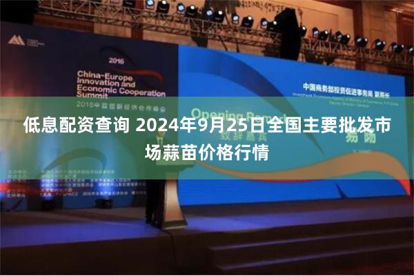 低息配资查询 2024年9月25日全国主要批发市场蒜苗价格行情
