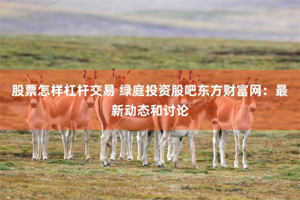 股票怎样杠杆交易 绿庭投资股吧东方财富网：最新动态和讨论
