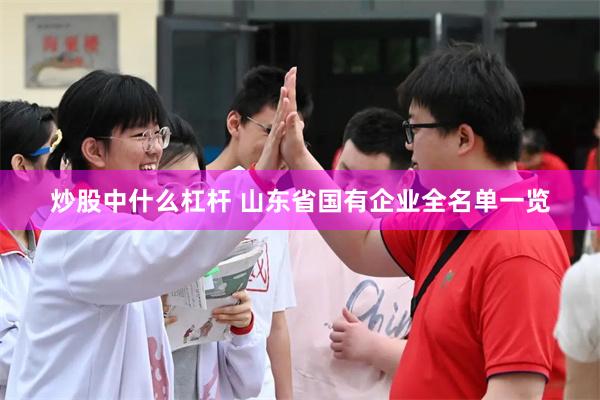 炒股中什么杠杆 山东省国有企业全名单一览