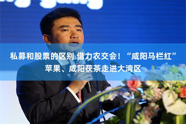 私募和股票的区别 借力农交会！“咸阳马栏红”苹果、咸阳茯茶走进大湾区
