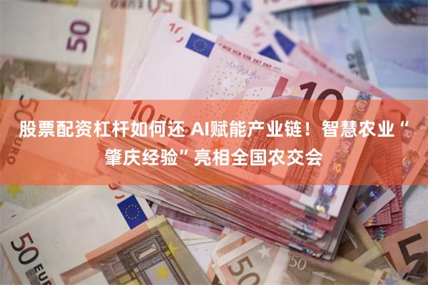 股票配资杠杆如何还 AI赋能产业链！智慧农业“肇庆经验”亮相全国农交会
