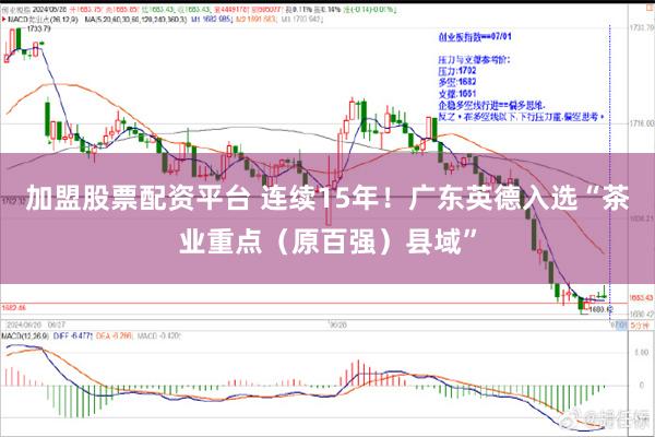 加盟股票配资平台 连续15年！广东英德入选“茶业重点（原百强）县域”