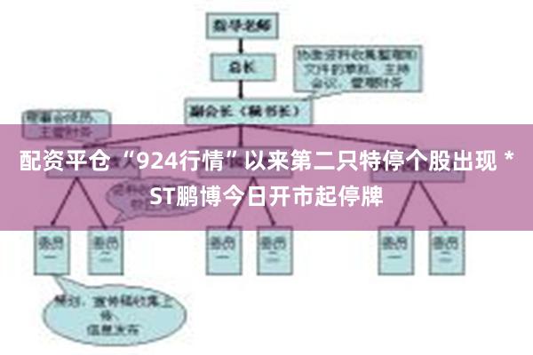 配资平仓 “924行情”以来第二只特停个股出现 *ST鹏博今日开市起停牌