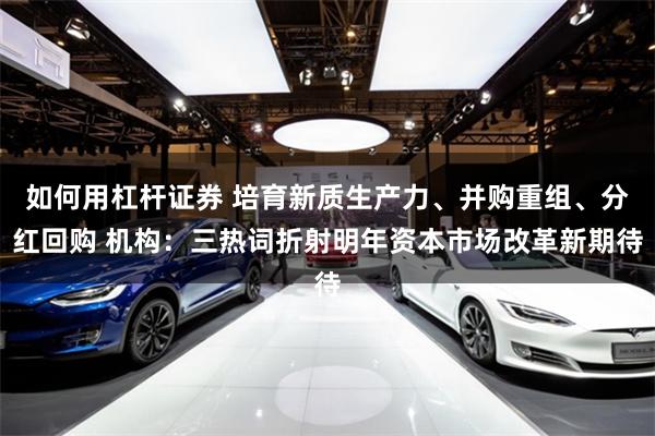 如何用杠杆证券 培育新质生产力、并购重组、分红回购 机构：三热词折射明年资本市场改革新期待