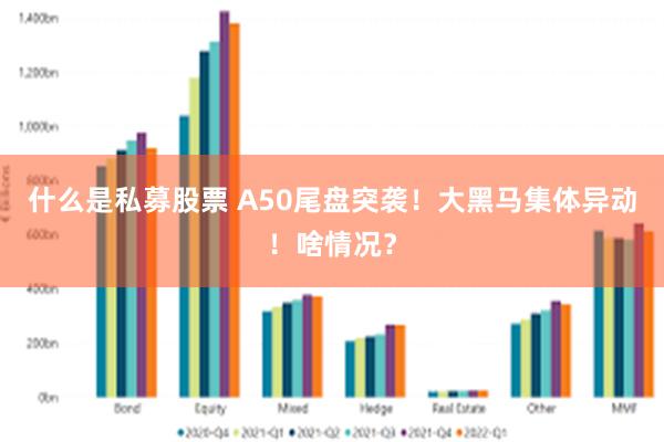什么是私募股票 A50尾盘突袭！大黑马集体异动！啥情况？