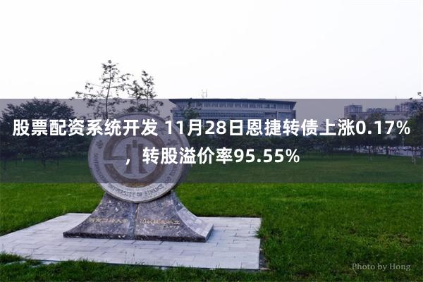 股票配资系统开发 11月28日恩捷转债上涨0.17%，转股溢价率95.55%