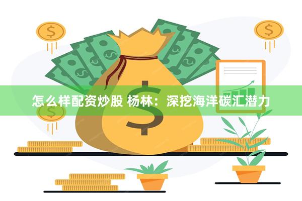 怎么样配资炒股 杨林：深挖海洋碳汇潜力