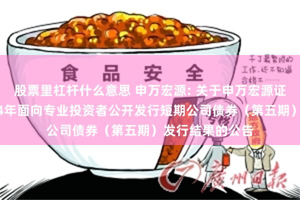 股票里杠杆什么意思 申万宏源: 关于申万宏源证券有限公司2024年面向专业投资者公开发行短期公司债券（第五期）发行结果的公告