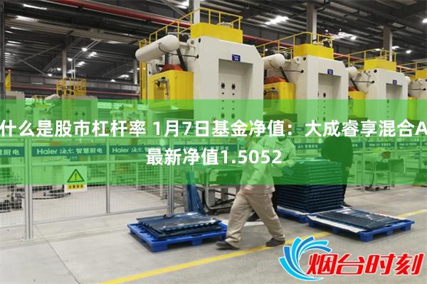 什么是股市杠杆率 1月7日基金净值：大成睿享混合A最新净值1.5052