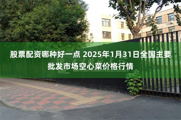 股票配资哪种好一点 2025年1月31日全国主要批发市场空心菜价格行情