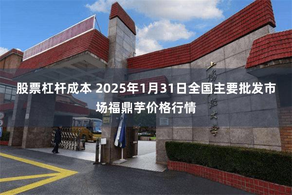 股票杠杆成本 2025年1月31日全国主要批发市场福鼎芋价格行情