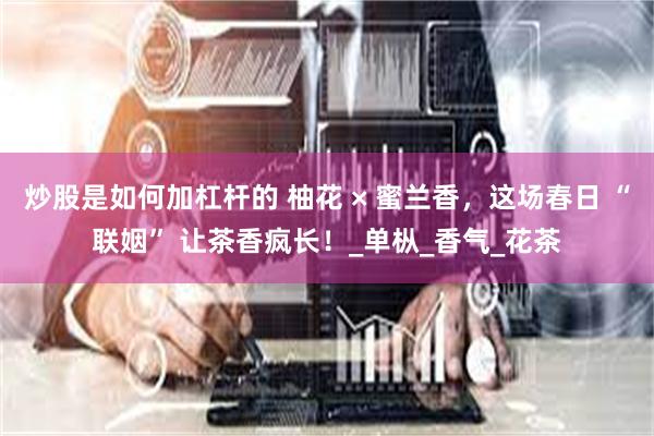 炒股是如何加杠杆的 柚花 × 蜜兰香，这场春日 “联姻” 让茶香疯长！_单枞_香气_花茶