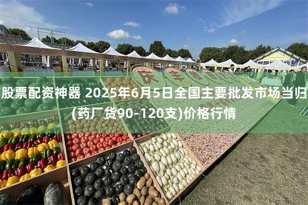 股票配资神器 2025年6月5日全国主要批发市场当归(药厂货90-120支)价格行情