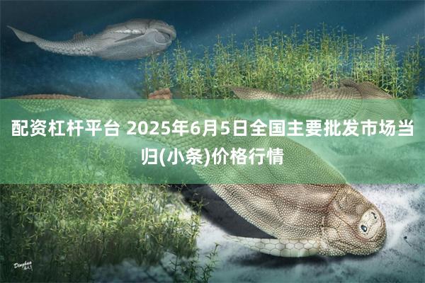 配资杠杆平台 2025年6月5日全国主要批发市场当归(小条)价格行情