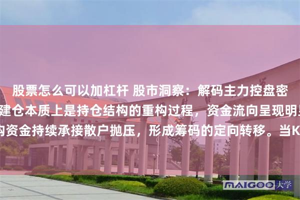 股票怎么可以加杠杆 股市洞察:解码主力控盘密码,迎接主升浪。主力建仓本质上是持仓结构的重构过程,资金流向呈现明显的定向特征——机构资金持续承接散户抛压,形成筹码的定向转移。当K线在价值洼地反复震荡时,量能透视仪显示...