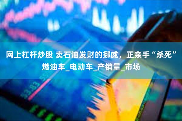 网上杠杆炒股 卖石油发财的挪威，正亲手“杀死”燃油车_电动车_产销量_市场