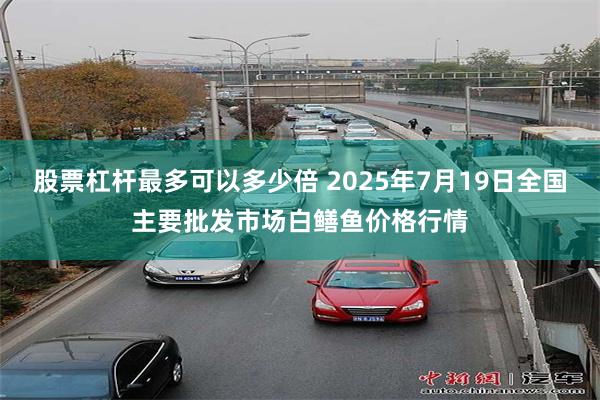 股票杠杆最多可以多少倍 2025年7月19日全国主要批发市场白鳝鱼价格行情