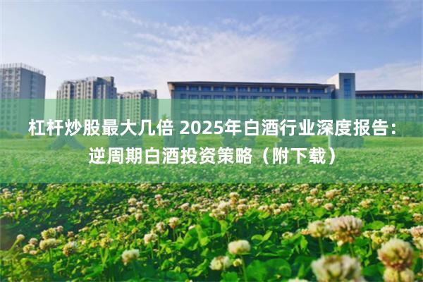 杠杆炒股最大几倍 2025年白酒行业深度报告：逆周期白酒投资策略（附下载）