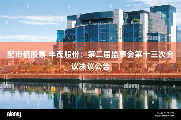 配市值股票 丰茂股份：第二届监事会第十三次会议决议公告